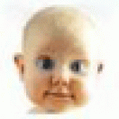 Profile picture for user nbaldsed