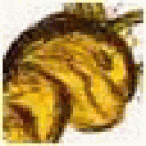Profile picture for user haval_kcPr