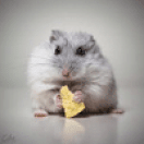 Profile picture for user Brupsquosaw