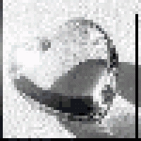 Profile picture for user kozNob