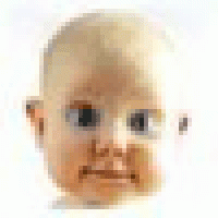 Profile picture for user nbaldsed