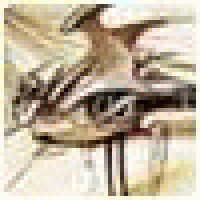 Profile picture for user TommyPab