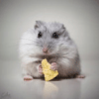 Profile picture for user Brupsquosaw