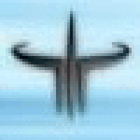 Profile picture for user Edwardvonge